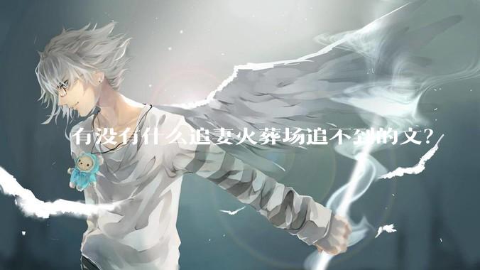 有没有什么追妻火葬场追不到的文？