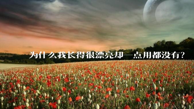 为什么我长得很漂亮却一点用都没有？