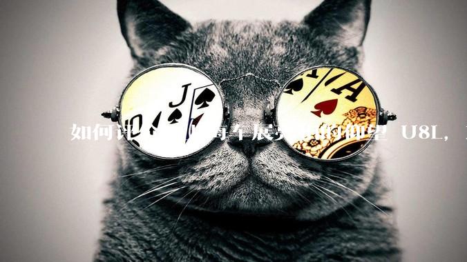 如何评价在上海车展亮相的仰望 U8L，对比 U8 有哪些升级和亮点？